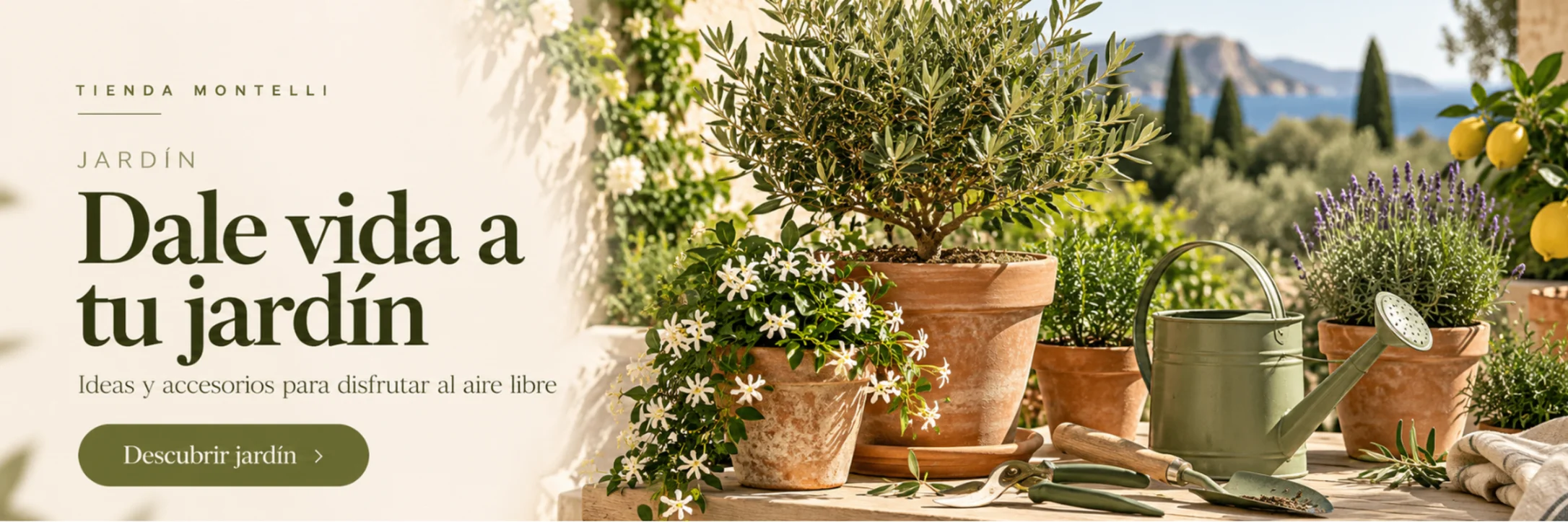 Dale vida a tu jardín — Descubrir jardín